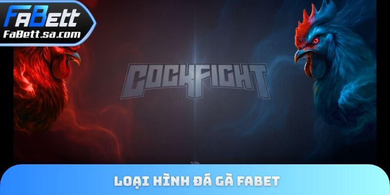 Loại hình đá gà Fabet