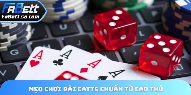 Mẹo chơi bài catte chuẩn từ cao thủ